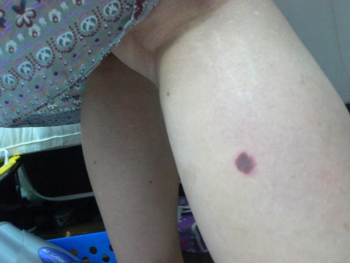 P1020110.jpg